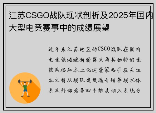 江苏CSGO战队现状剖析及2025年国内大型电竞赛事中的成绩展望